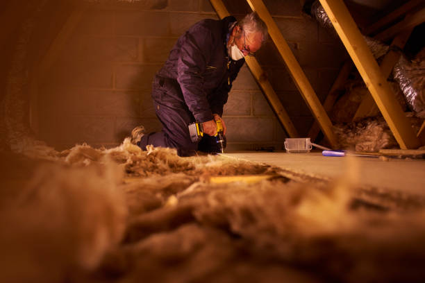 Best Eco-Friendly Insulation in Roslyn Heights, NY